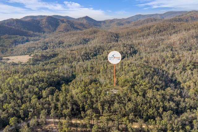 123 Murrabrine Forest Road, NSW 2550
