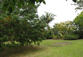 Garden (2008-01-08)