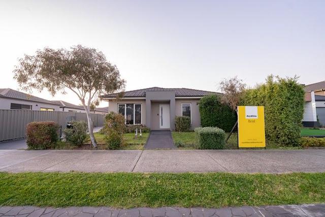 10 Godfrey Avenue, VIC 3977