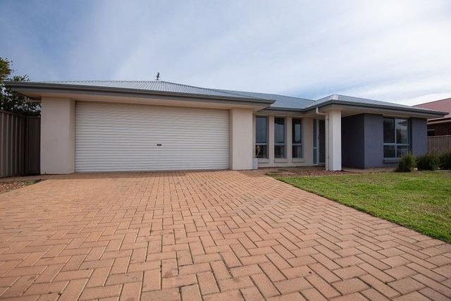 44 Jensen Avenue, SA 5609