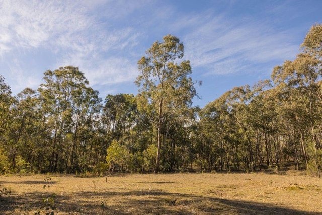 318 White Cedars Road, NSW 2850