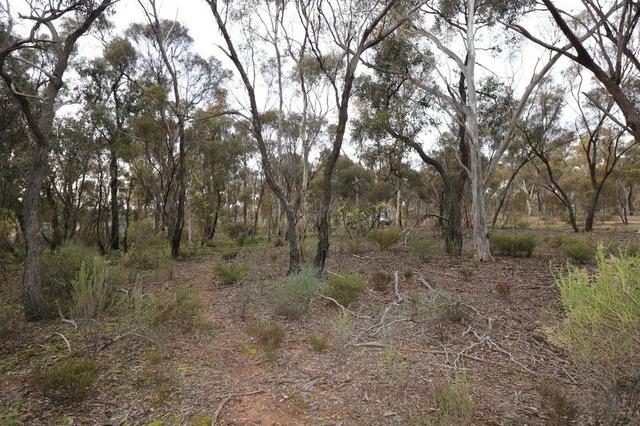 11/null Canning  Street, VIC 3551