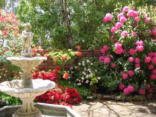 Courtyard Garden