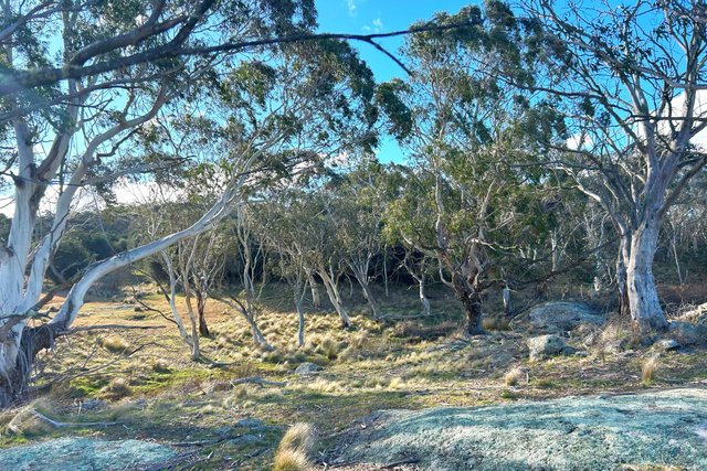 Stoney Ridge Road, NSW 2622