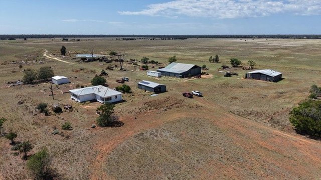 1349 Gwabegar Road, NSW 2388