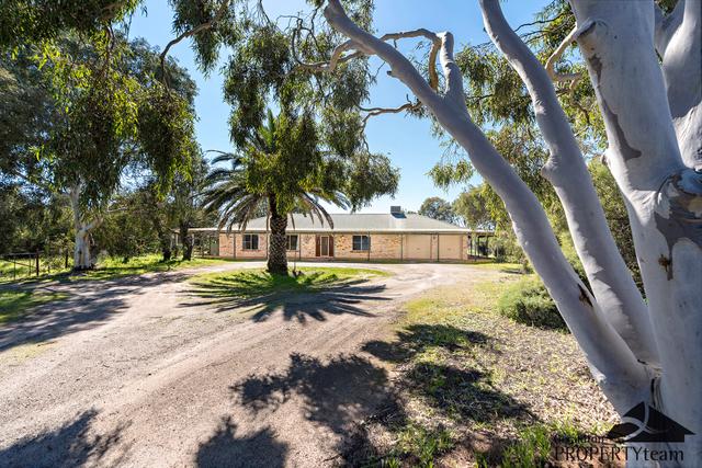 3 Dorset Drive, WA 6532