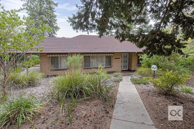 10 Blackthorn  Avenue, SA 5051