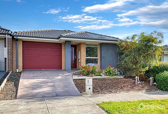 56 Belmont Crescent, VIC 3810