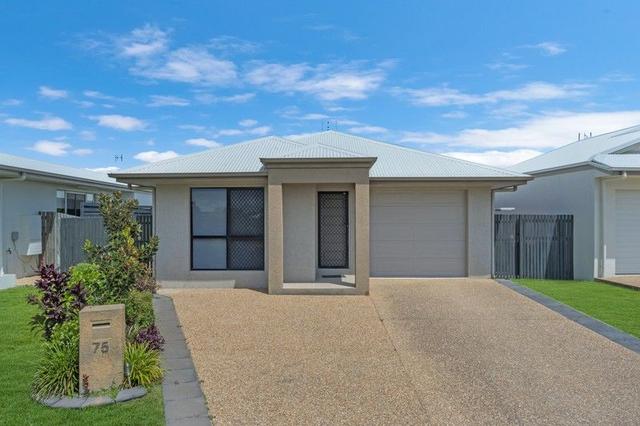 75 Griffey Street, QLD 4818