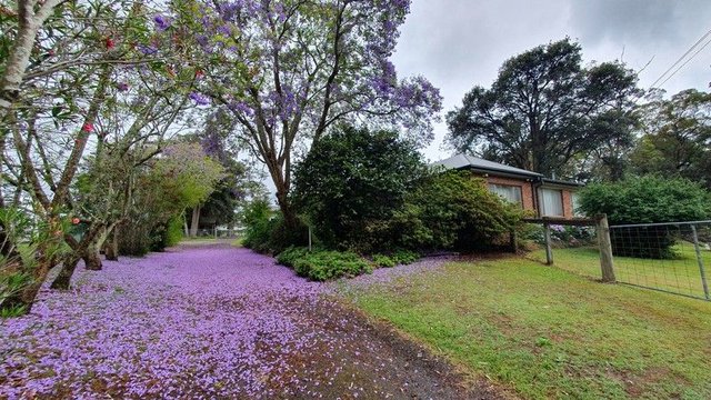 35 Cattai Ridge Road, NSW 2157