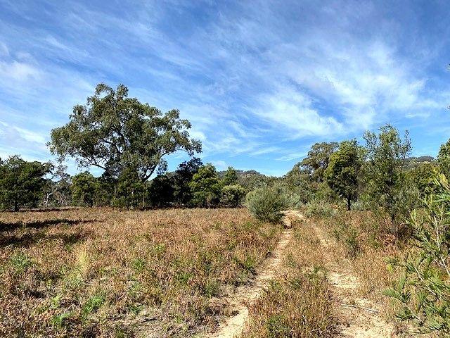 150 Reedy Creek Road, NSW 2849
