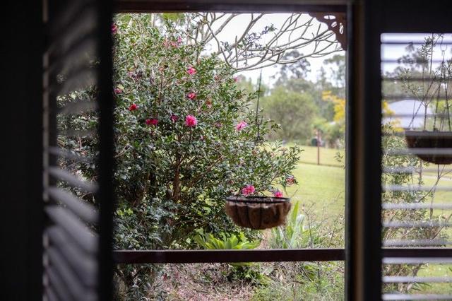 21 Kingfisher Drive, NSW 2429