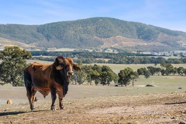 Lot 8 Ben Major Track, VIC 3468