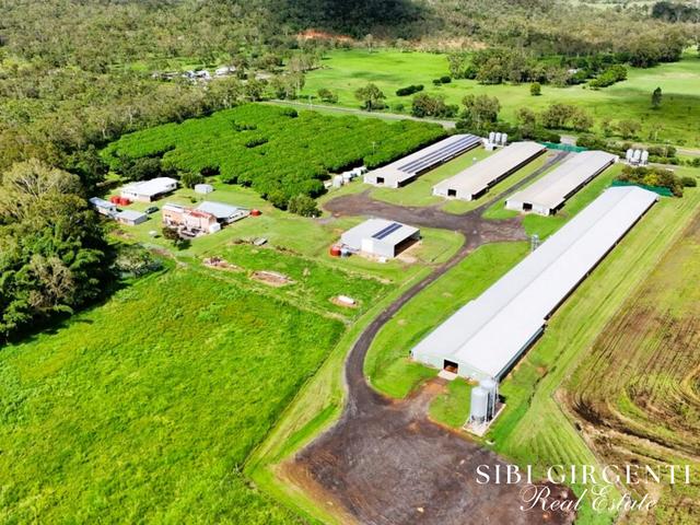 1004 Bilwon Road, QLD 4880