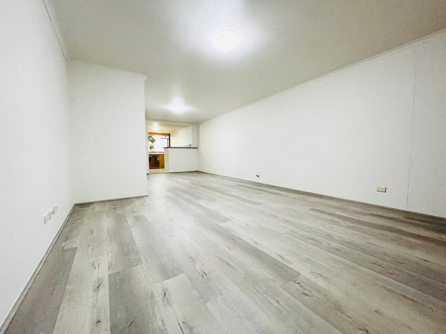 5/127 Point Street, NSW 2009