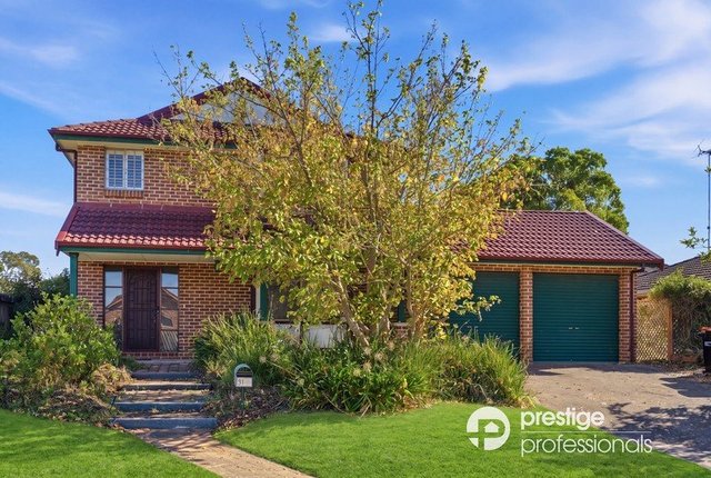31 Arrowfield Drive, NSW 2173