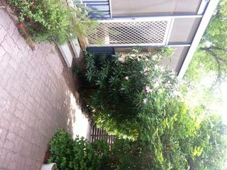 Backyard (2012-12-03)