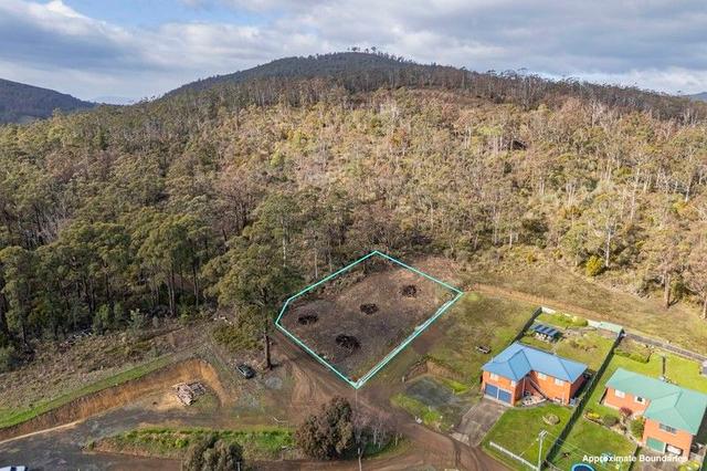 42 Hill Street, TAS 7116