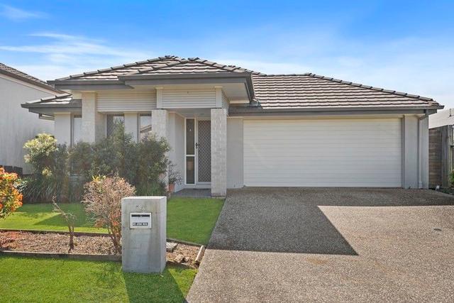 14 Angliss Circuit, QLD 4164