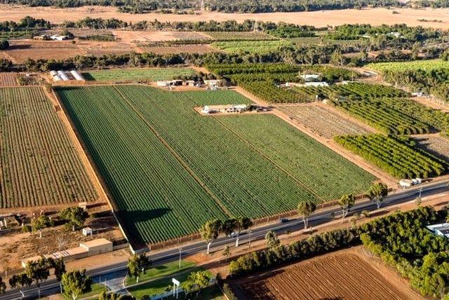 563 & 561 Robinson  Street, WA 6701