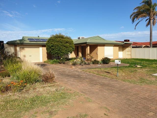 12 Morgan Street, SA 5107