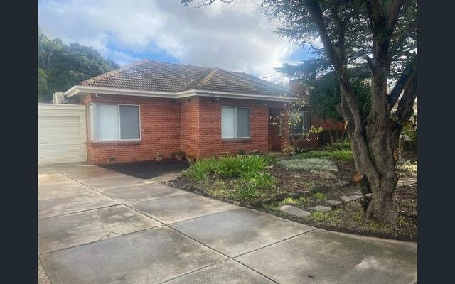 38 Jervois St, SA 5062