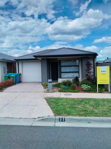 31 Pelham Drive, VIC 3978