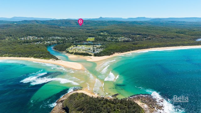 271 Lemon Tree Creek Road, NSW 2539