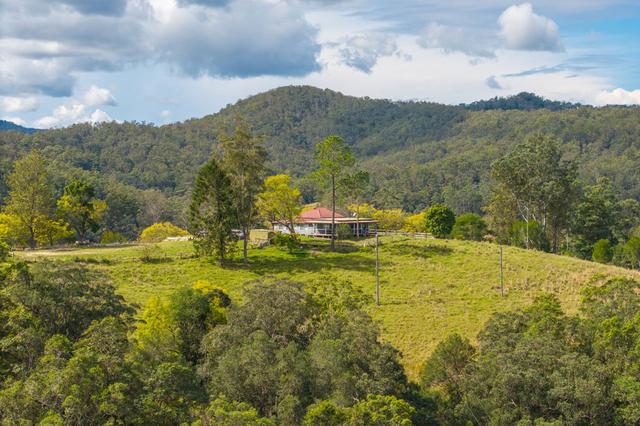 3643 Taylors Arm Road, NSW 2447