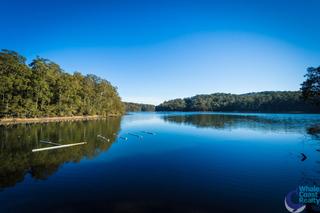 Wagonga Inlet Frontage