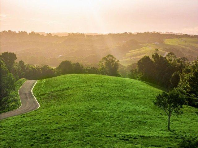 111 Fowlers Lane, NSW 2479