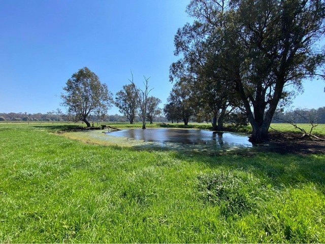 636 Melville Road, WA 6224