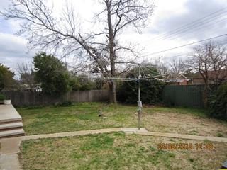 Backyard (2010-08-24)