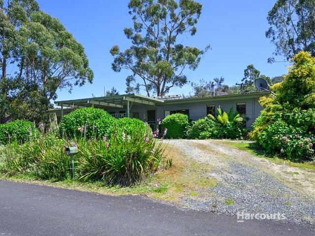 1 Tink Taylor Avenue, TAS 7321