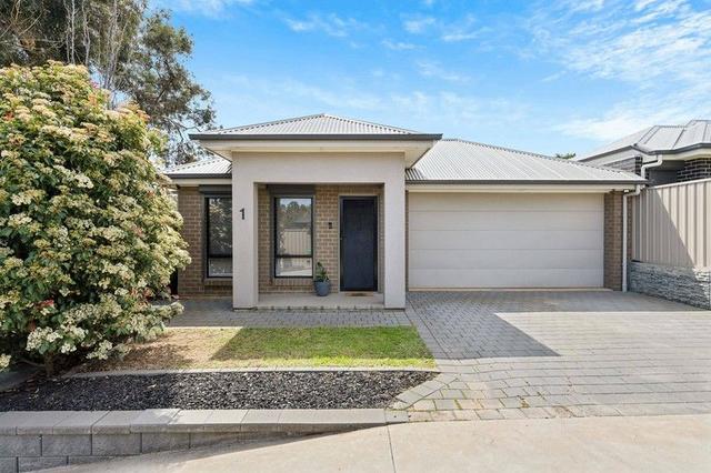 1/41 Birch Avenue, SA 5109