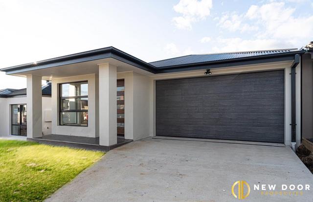 84 Barramundi Street, ACT 2914