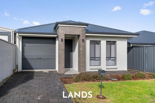 29a Carnarvon Avenue, SA 5097