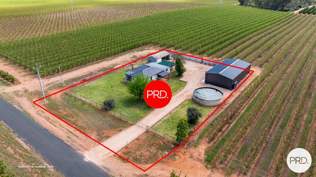 481 Reserve Road East, NSW 2717