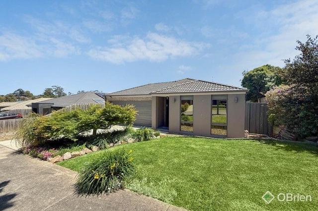 25 Buscombe Crescent, VIC 3818