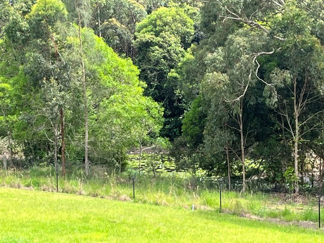 38 Maslin Close, NSW 2430