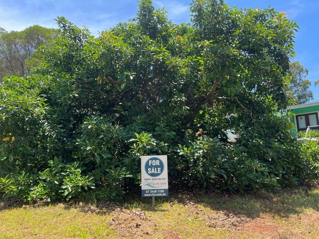 25 Fiji St, QLD 4184