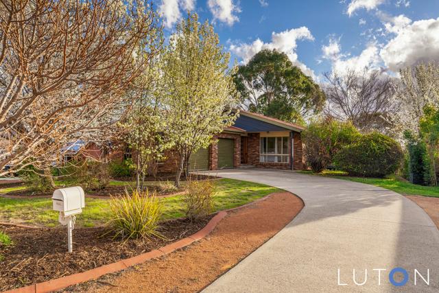 17 Michael Holt Crescent, ACT 2906