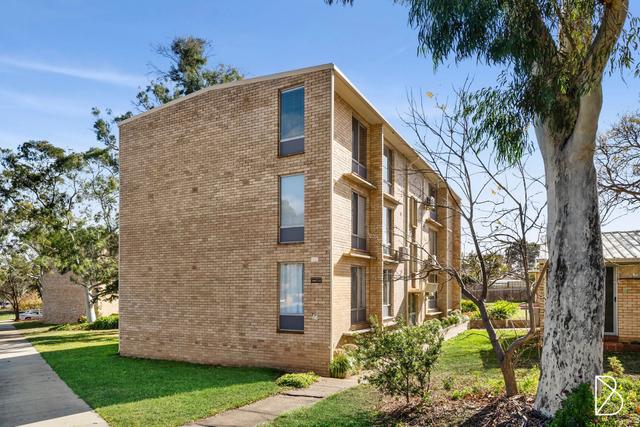 13/143 Carruthers Street, ACT 2605