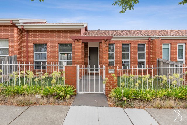 225 Anthony Rolfe Avenue, ACT 2912