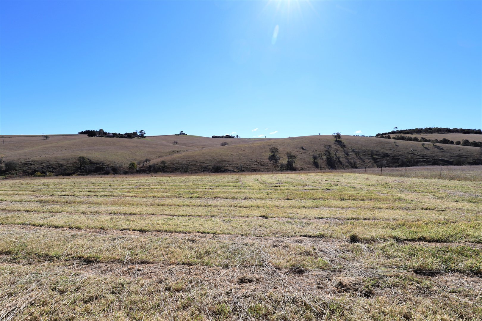 Orr Street, Delegate NSW 2633 Allhomes