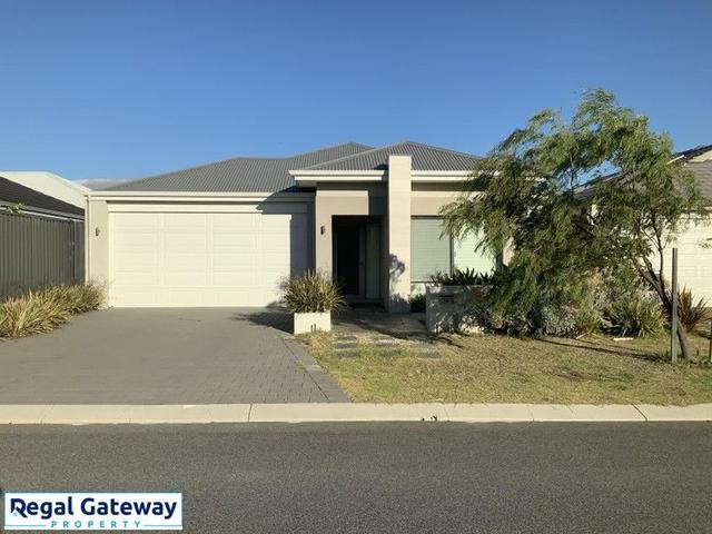 14 Chicory Street, WA 6164