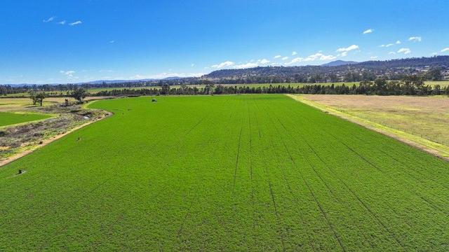 102 Wallamore Road, NSW 2340