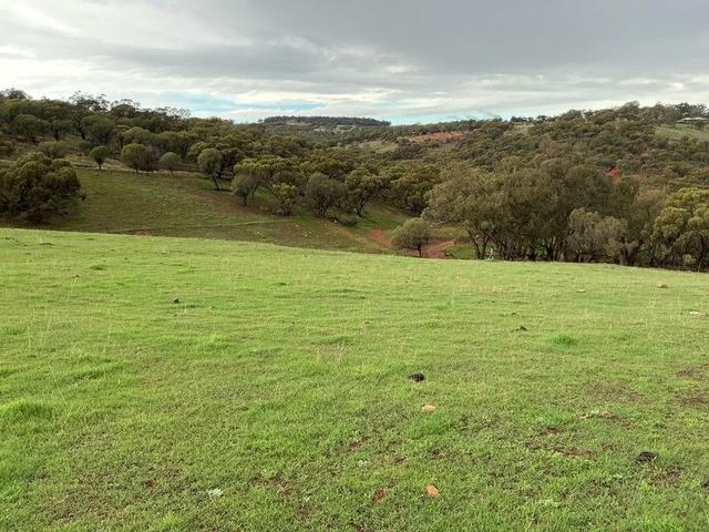 349 Coondle Drive, Coondle, WA 6566