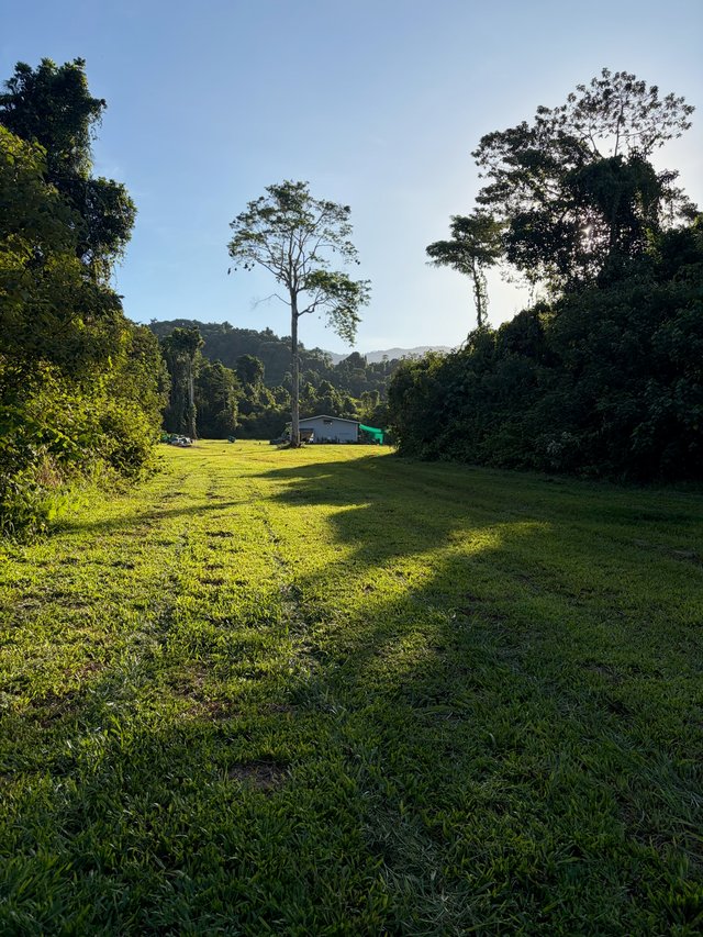 252 Jackson Road, QLD 4855