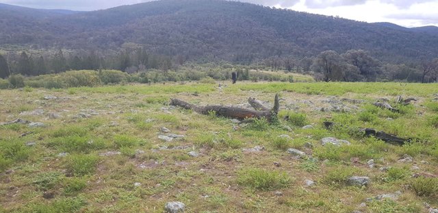 655 Monaghans Rd, NSW 2865